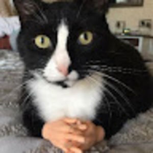 Meet your Posher, Oscar